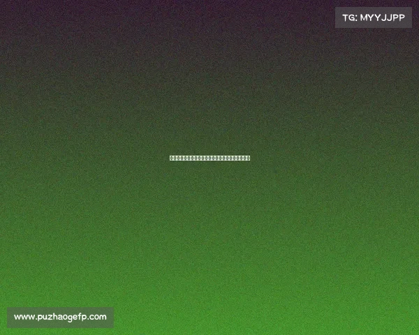 约基奇砍三双掘金轻松战胜太阳迎来新赛季首场胜利